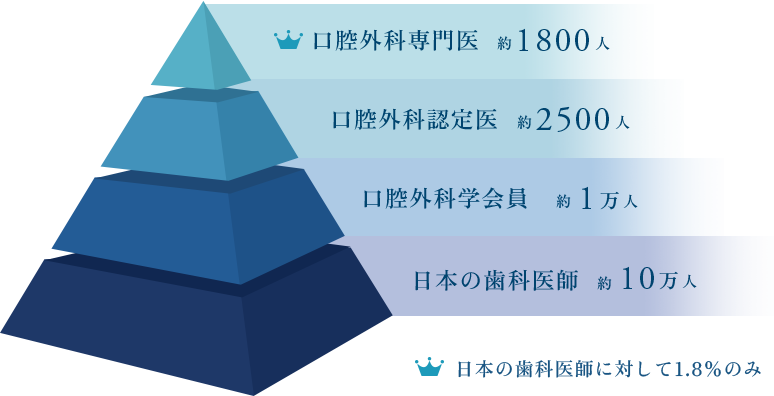 口腔外科専門医の割合